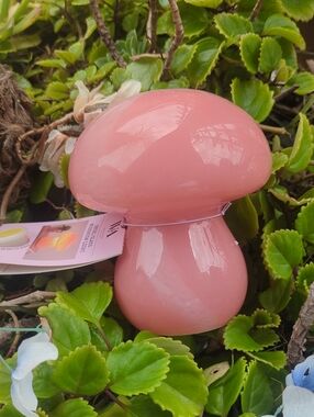 DW Home Pink Mushroom Accent Decor